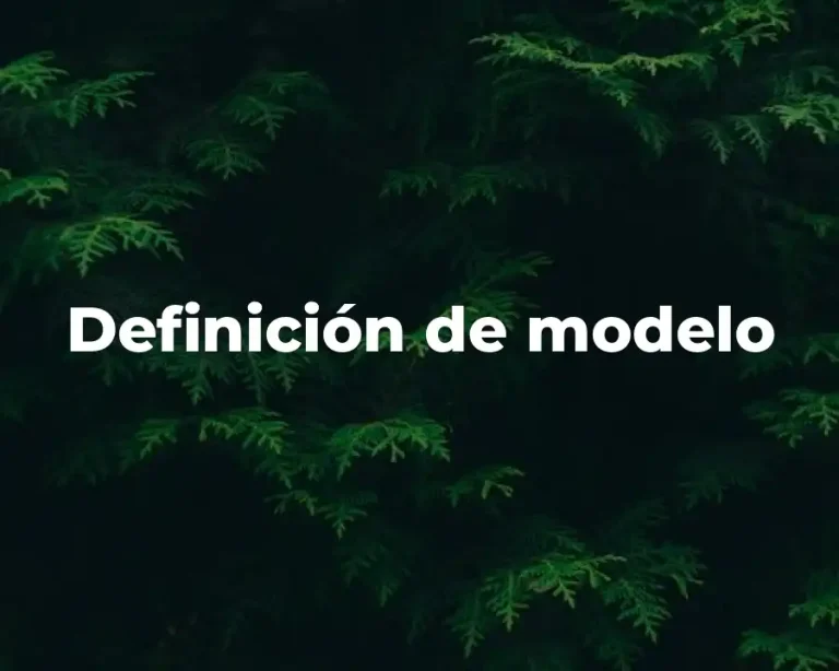 Definición de modelo