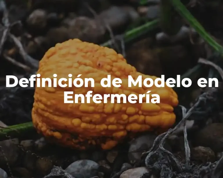 Definición de Modelo en Enfermería