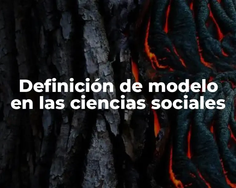 Definición de modelo en las ciencias sociales