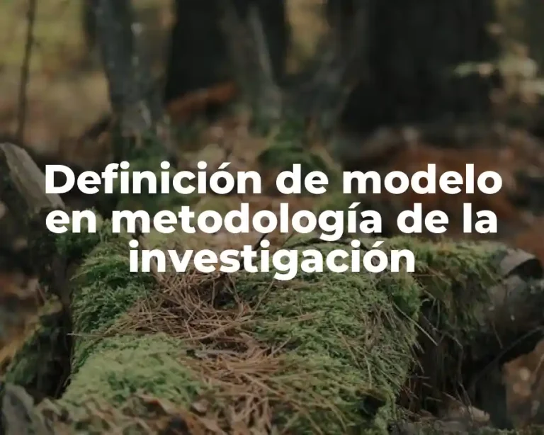 Definición de modelo en metodología de la investigación