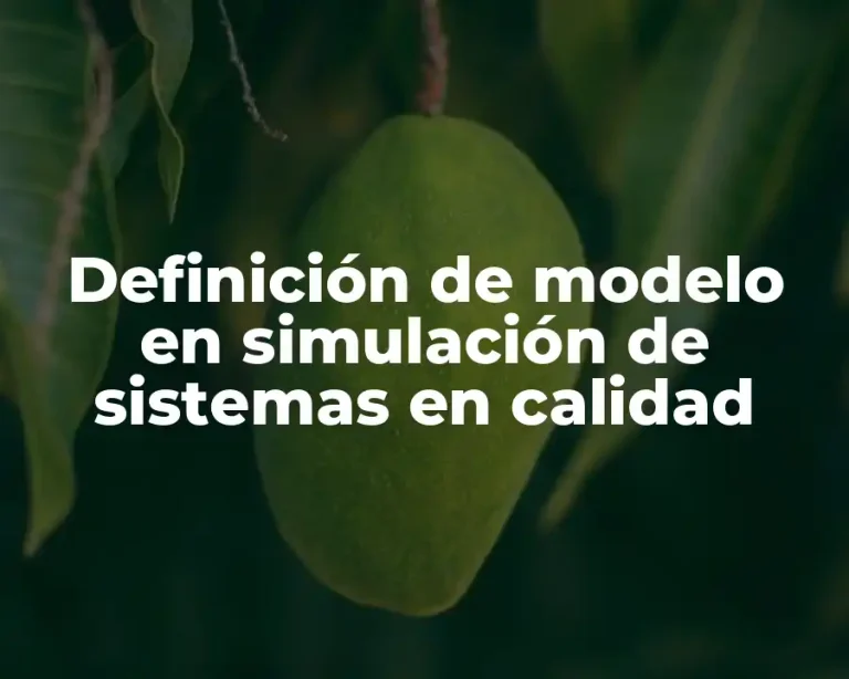 Definición de modelo en simulación de sistemas en calidad