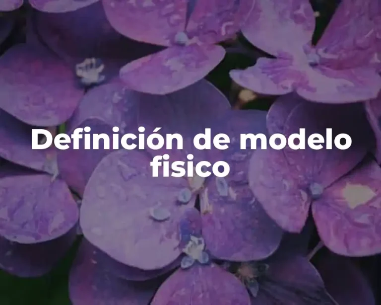 Definición de modelo fisico