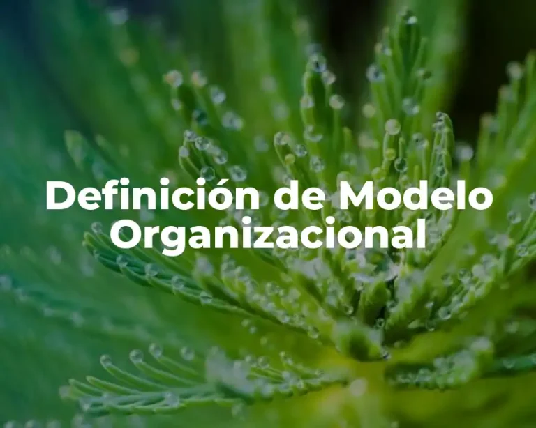 Definición de Modelo Organizacional