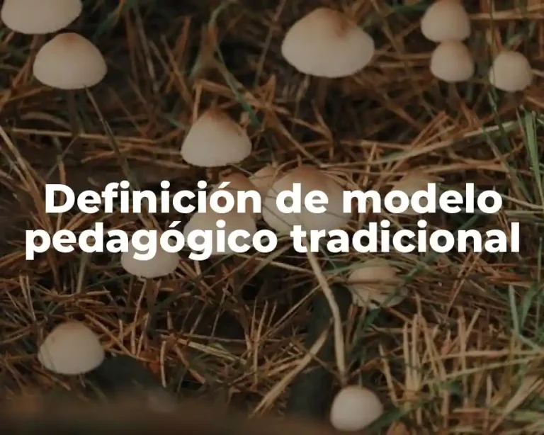 Definición de modelo pedagógico tradicional