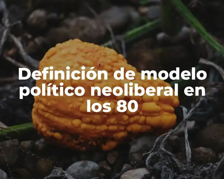 Definición de modelo político neoliberal en los 80
