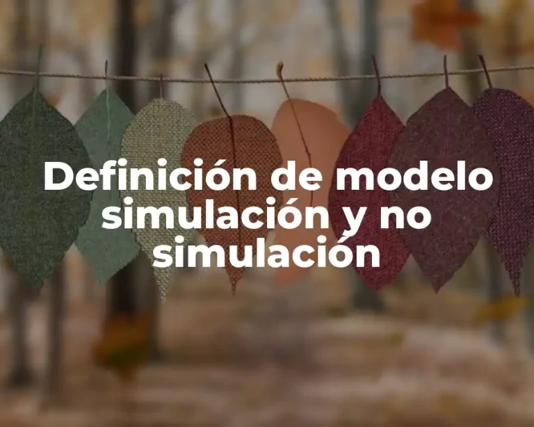 Definición de modelo simulación y no simulación