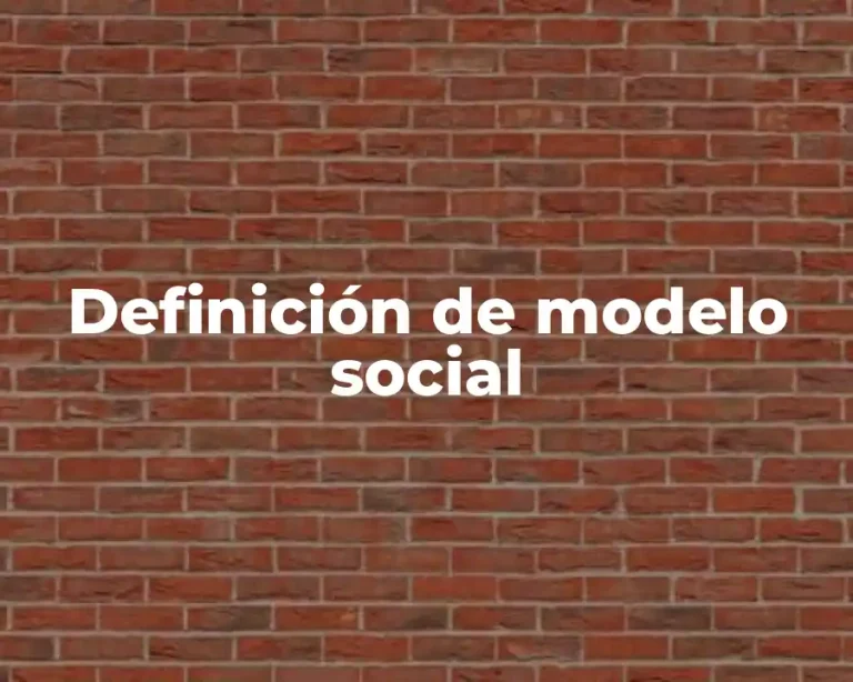 Definición de modelo social