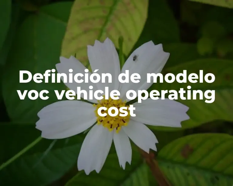 Definición de modelo voc vehicle operating cost