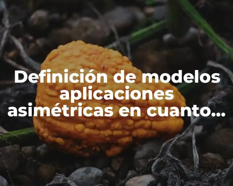 Definición de modelos aplicaciones asimétricas en cuanto al tráfico