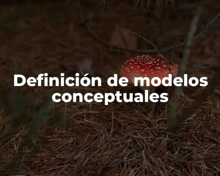 Definición de modelos conceptuales