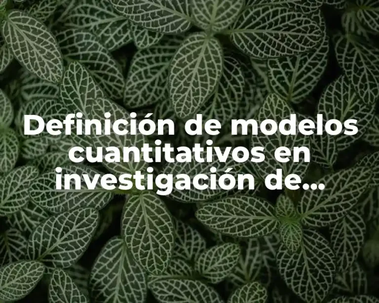 Definición de modelos cuantitativos en investigación de operaciones