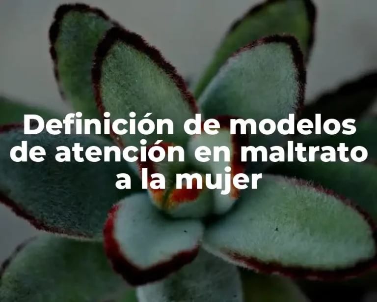 Definición de modelos de atención en maltrato a la mujer