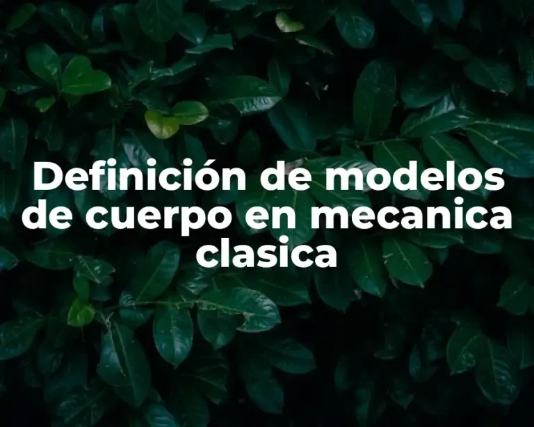 Definición de modelos de cuerpo en mecanica clasica