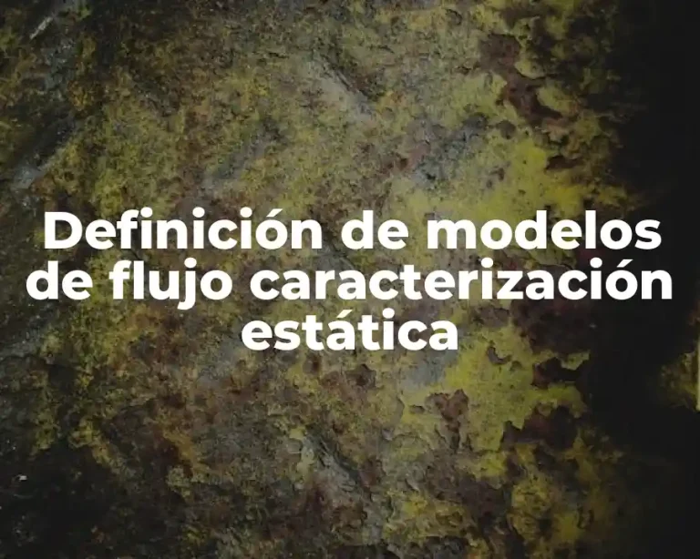 Definición de modelos de flujo caracterización estática