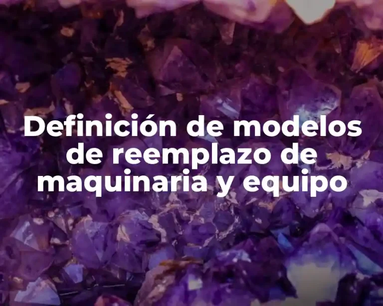 Definición de modelos de reemplazo de maquinaria y equipo