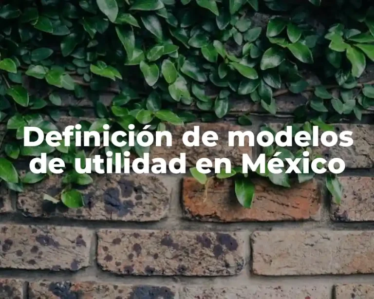 Definición de modelos de utilidad en México