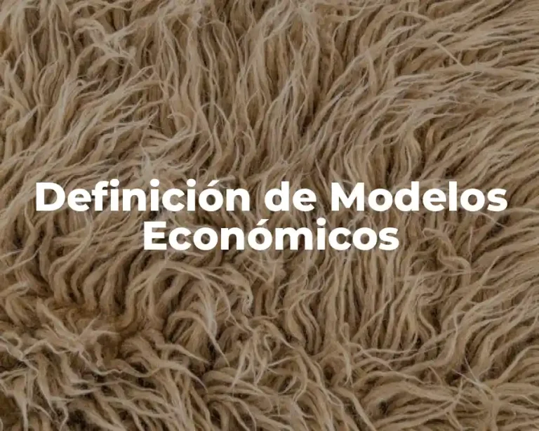 Definición de Modelos Económicos