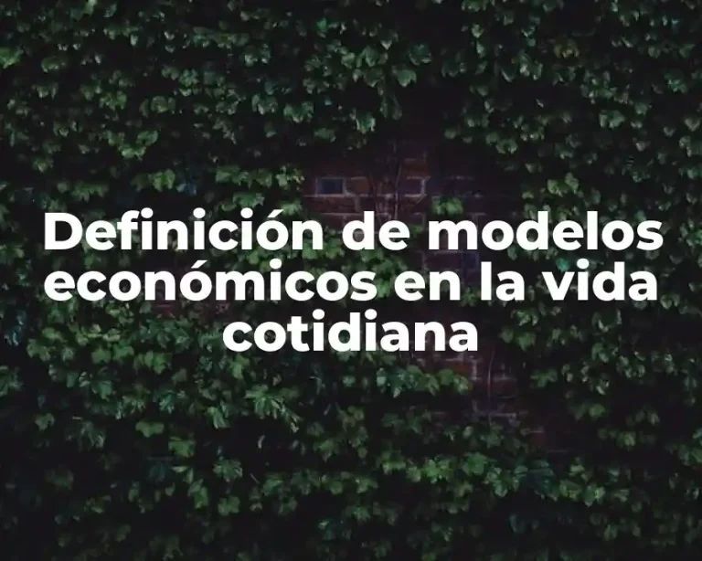 Definición de modelos económicos en la vida cotidiana