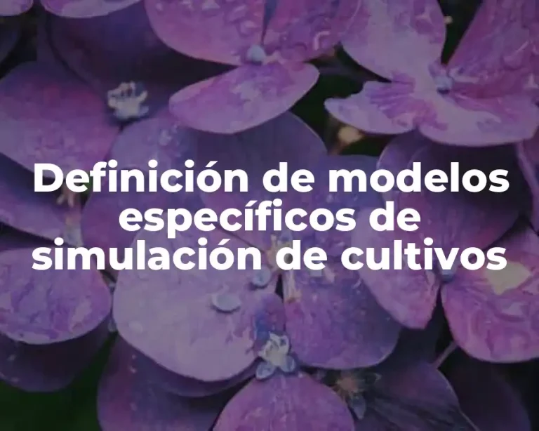 Definición de modelos específicos de simulación de cultivos