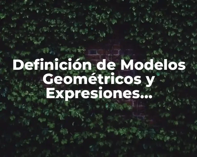Definición de Modelos Geométricos y Expresiones Algebraicas