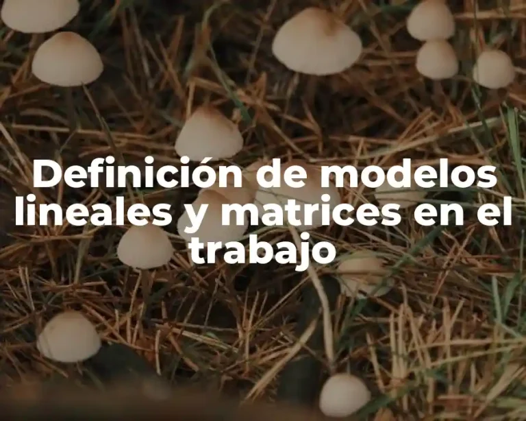 Definición de modelos lineales y matrices en el trabajo