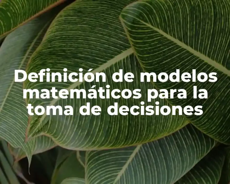 Definición de modelos matemáticos para la toma de decisiones