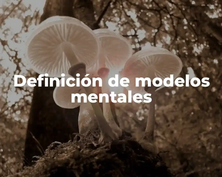 Definición de modelos mentales