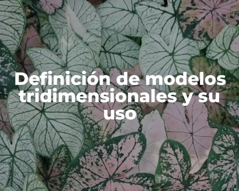 Definición de modelos tridimensionales y su uso