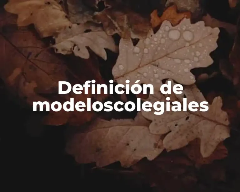 Definición de modeloscolegiales