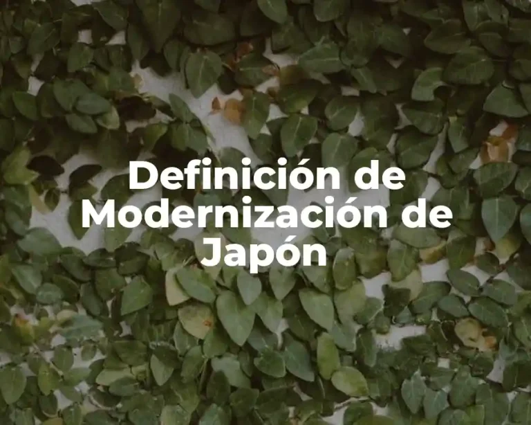 Definición de Modernización de Japón