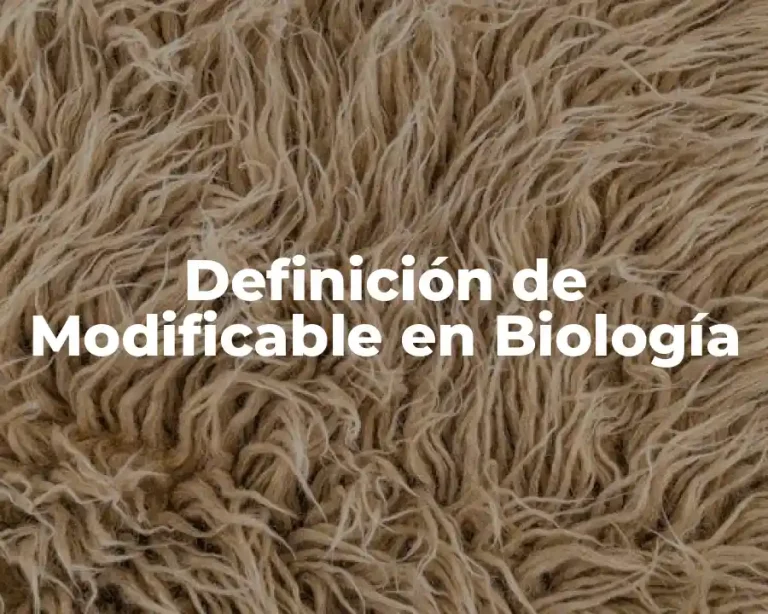 Definición de Modificable en Biología