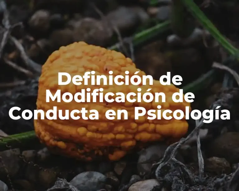 Definición de Modificación de Conducta en Psicología