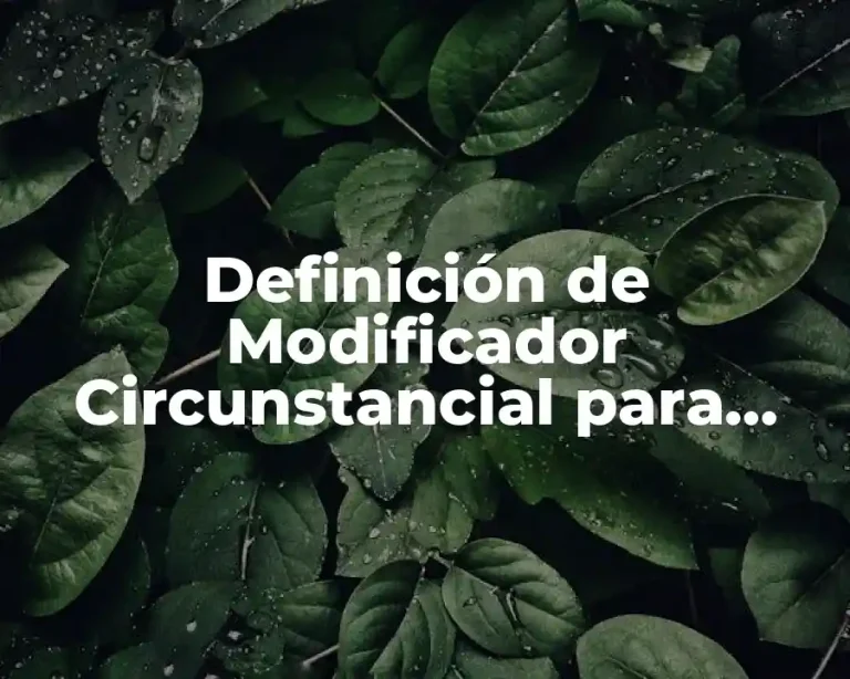 Definición de Modificador Circunstancial para niños de primaria