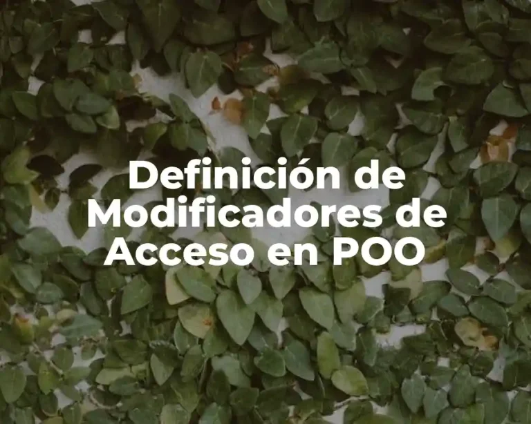 Definición de Modificadores de Acceso en POO
