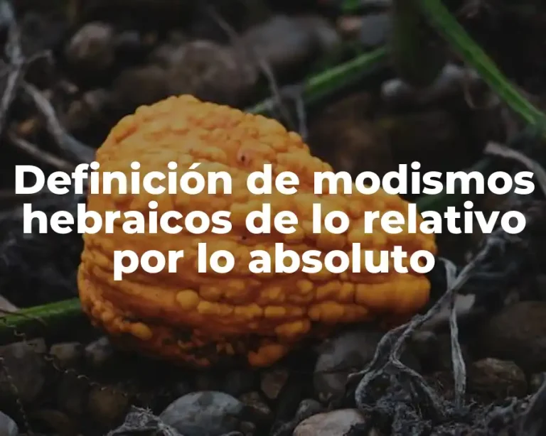 Definición de modismos hebraicos de lo relativo por lo absoluto