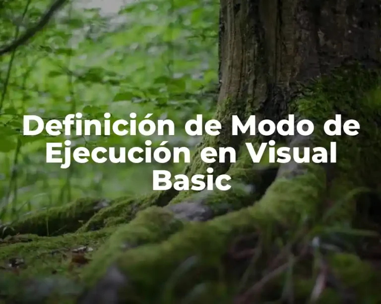 Definición de Modo de Ejecución en Visual Basic