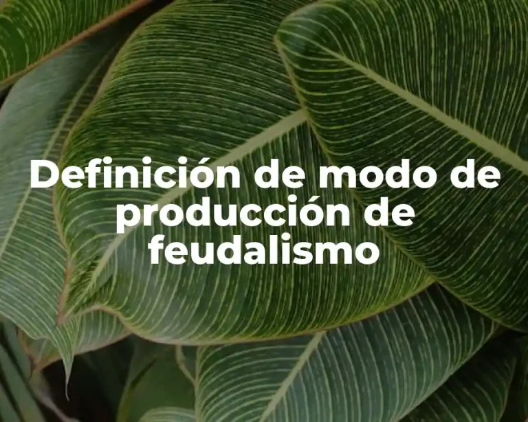 Definición de modo de producción de feudalismo