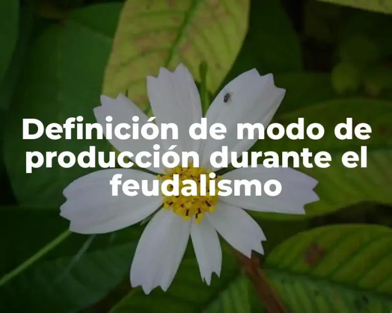 Definición de modo de producción durante el feudalismo