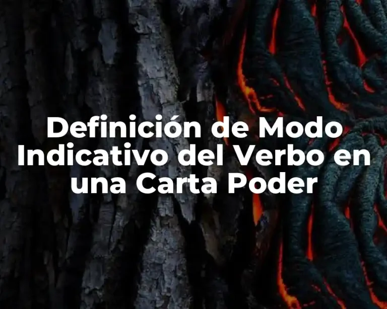 Definición de Modo Indicativo del Verbo en una Carta Poder