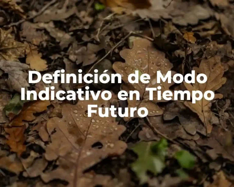 Definición de Modo Indicativo en Tiempo Futuro
