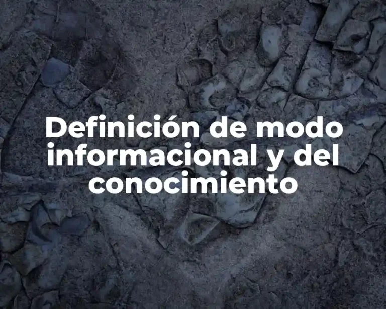 Definición de modo informacional y del conocimiento