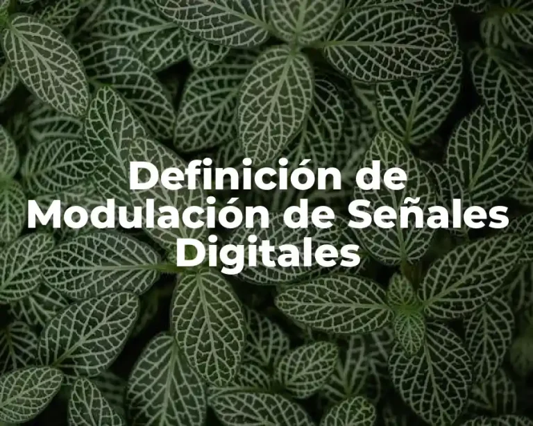 Definición de Modulación de Señales Digitales