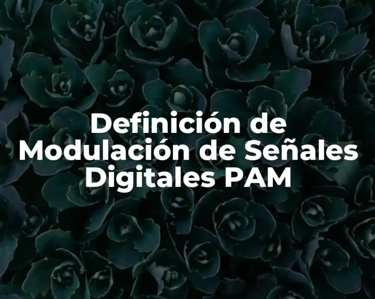 Definición de Modulación de Señales Digitales PAM