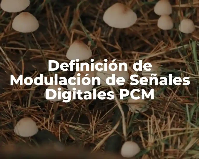 Definición de Modulación de Señales Digitales PCM