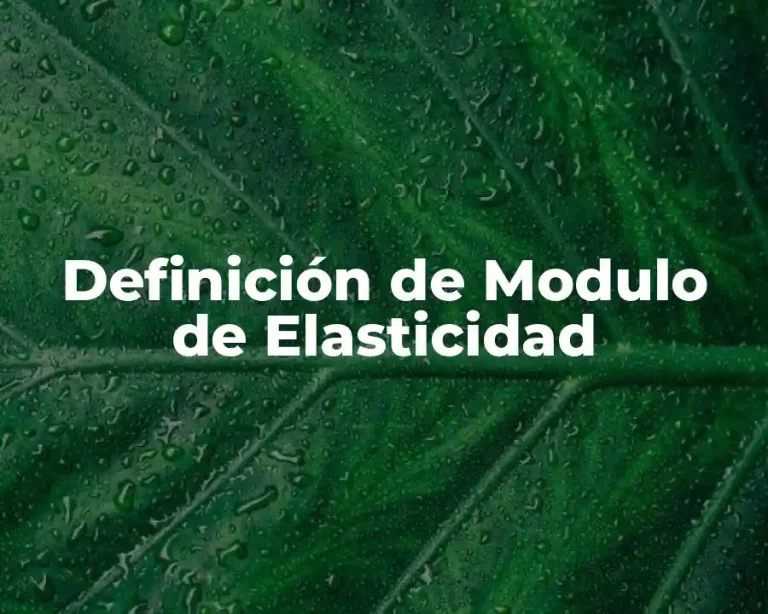 Definición de Modulo de Elasticidad