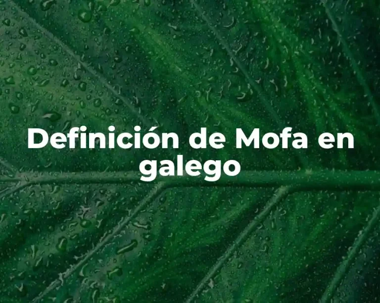 Definición de Mofa en galego