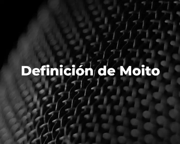 Definición de Moito