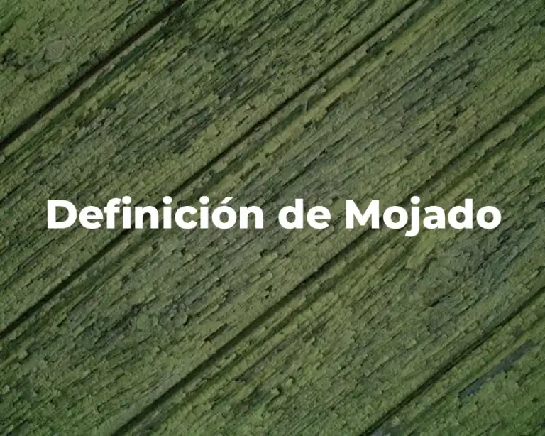 Definición de Mojado