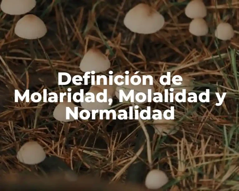 Definición de Molaridad, Molalidad y Normalidad