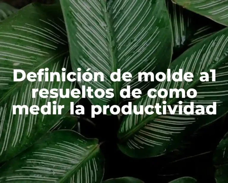 Definición de molde a1 resueltos de como medir la productividad